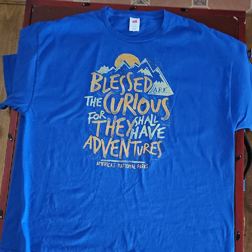 Hanes Blue Adventure Graphic Tee